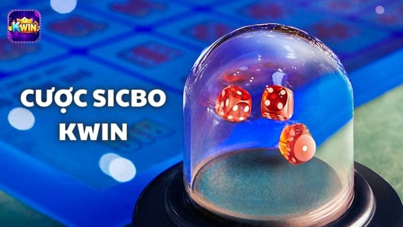 Cược Sicbo Kwin - Mẹo Chơi Hay Lụm Tiền Liền Tay