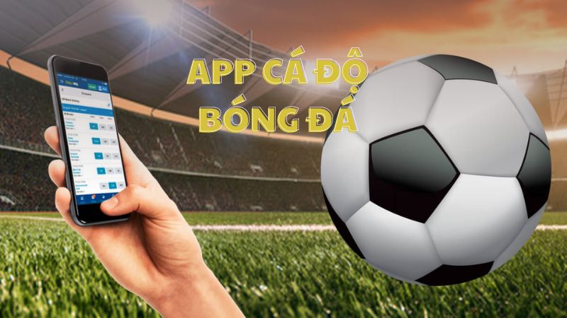 app cá độ bóng đá